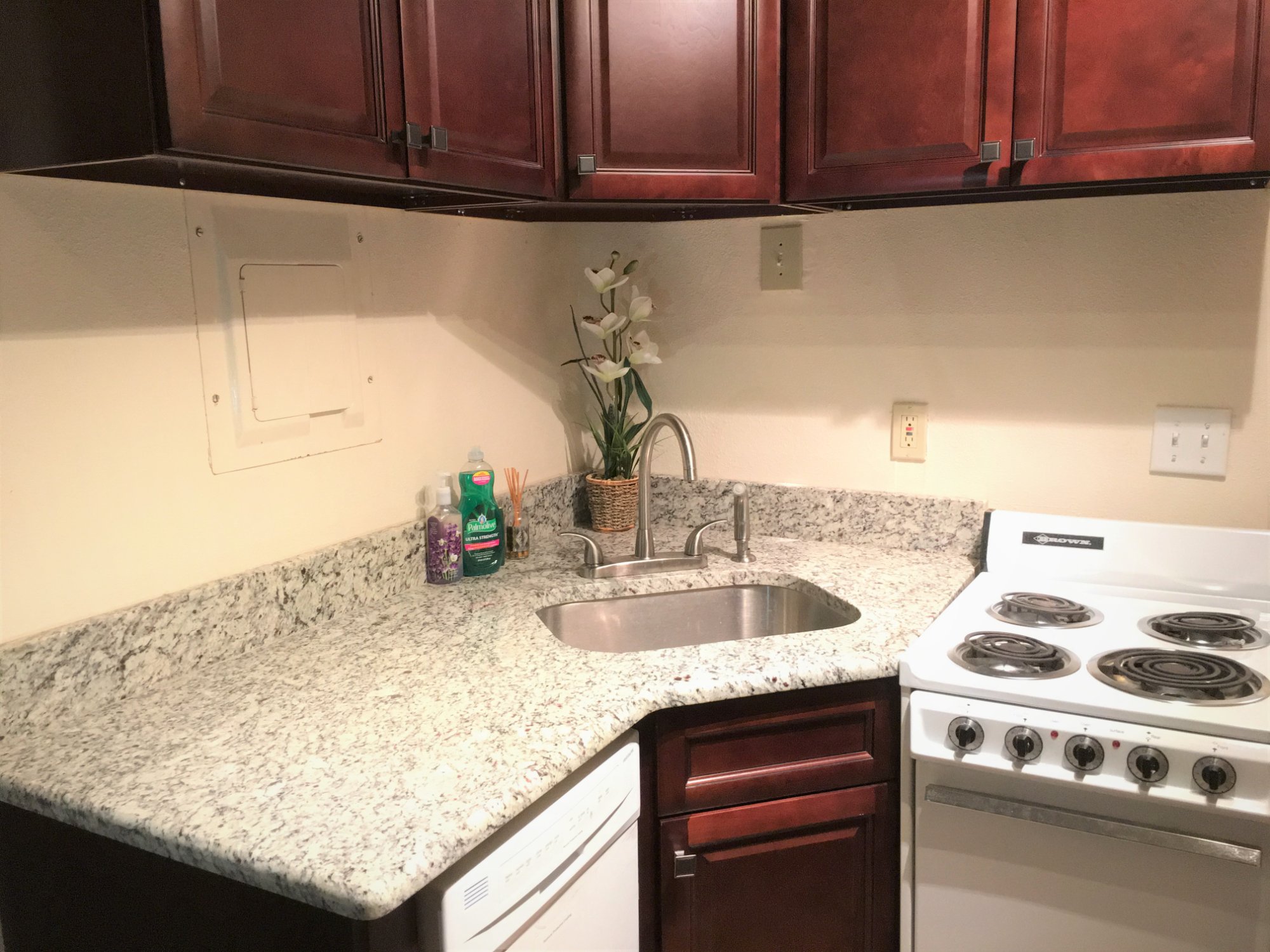 Lakeside Villa Orlando - beautiful lake sunset with palm trees