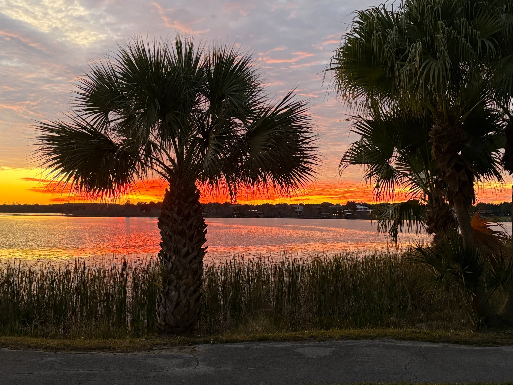 Orlando Studio vacation rental near Universal Studios, Disney and Convention Center